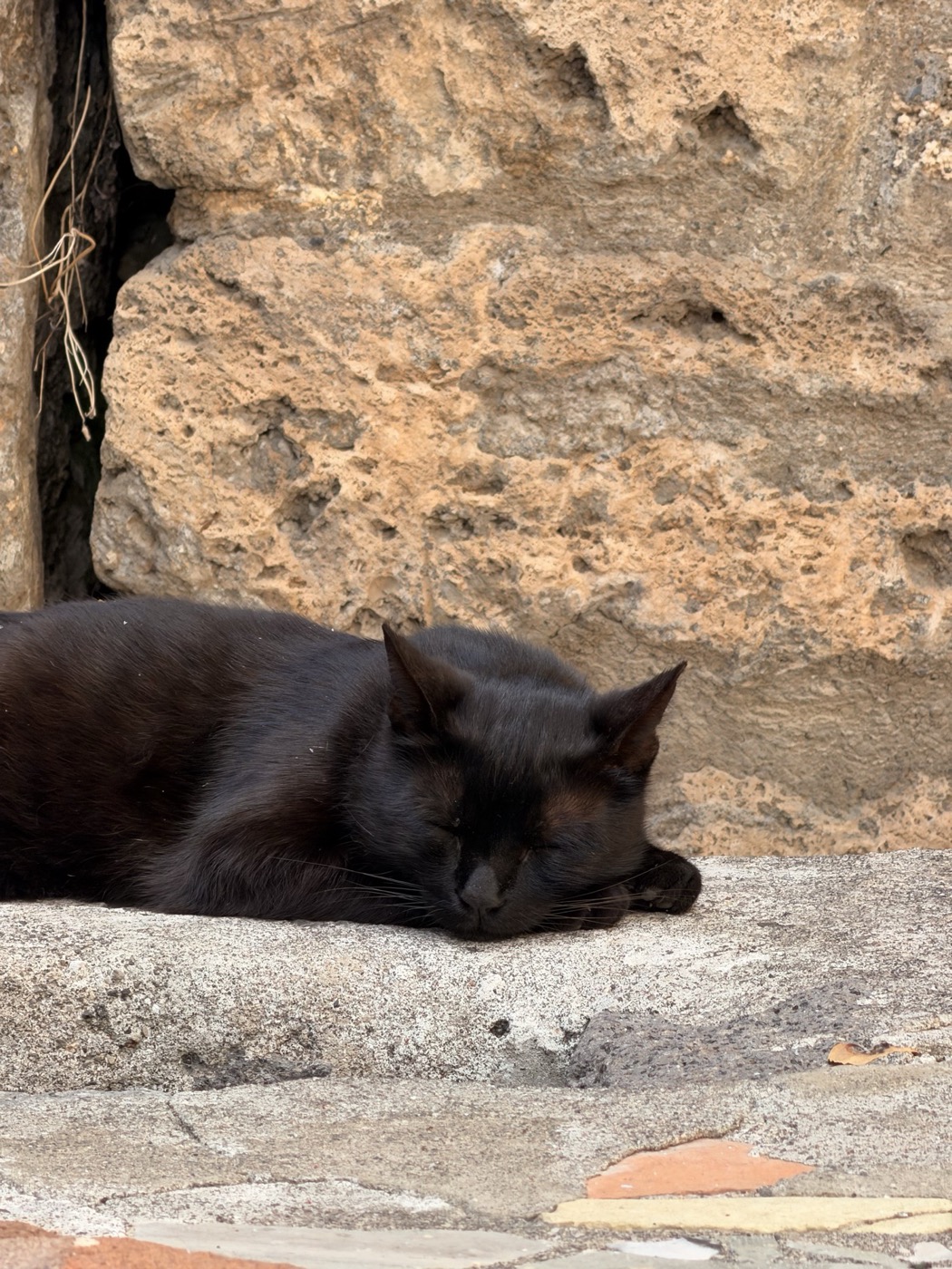 A black cat asleep on stone