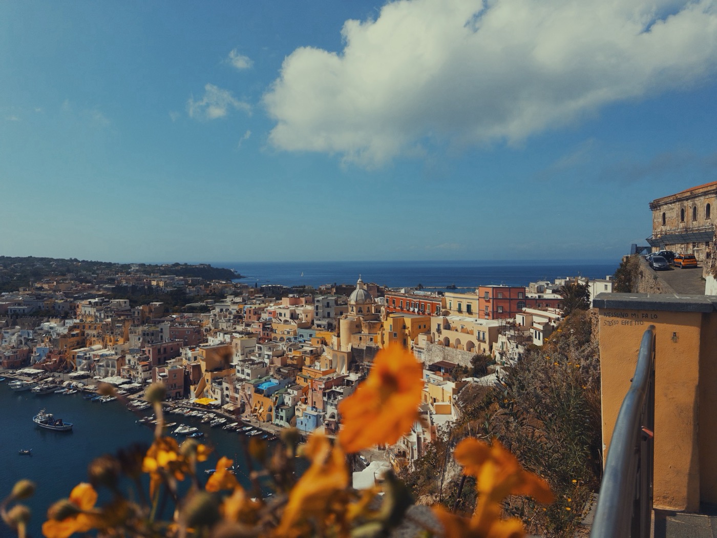 Pastel harbour houses with orange flowers in front