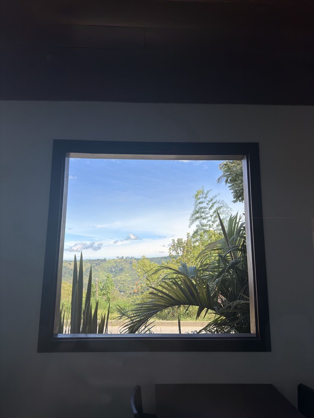 A square window full of palms and hills