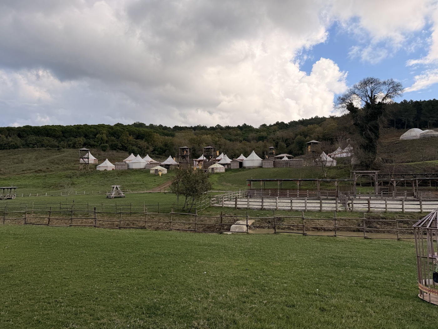 Open green land with a fence line and a hill of trees beyond